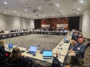 Roundtable meeting