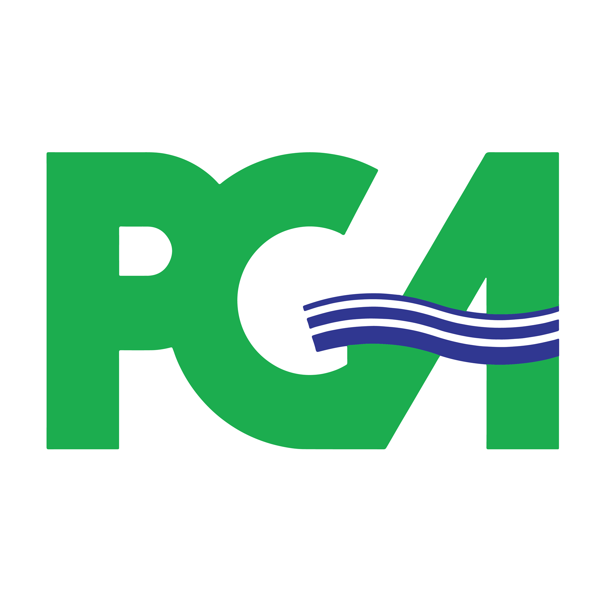Patel, Greene and Associates, LLC  